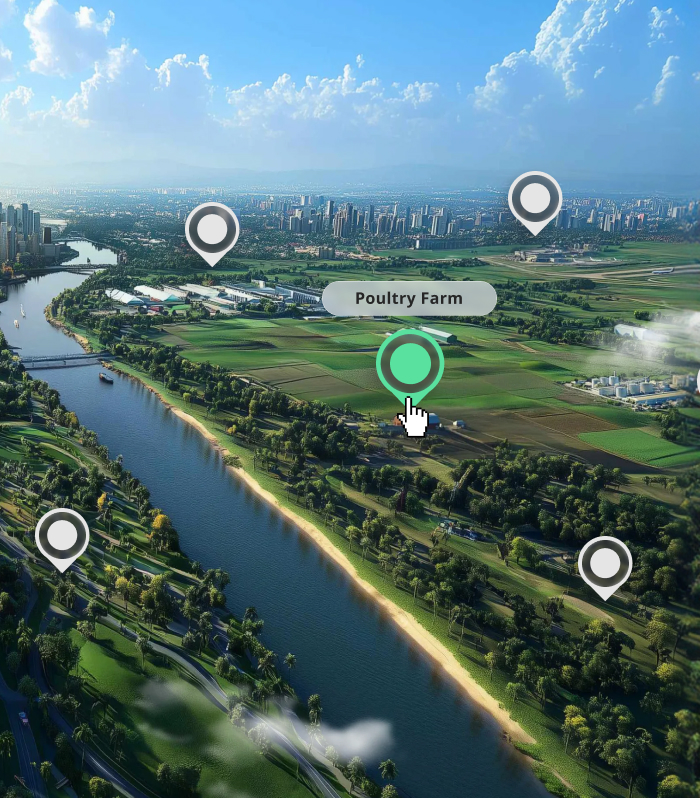 Explore our Solution Guides